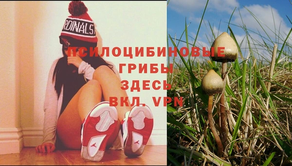 кокаин VHQ Гусев